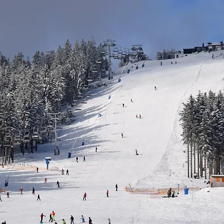 Heimathafen Diemelsee - Luxusferienhaus Diemelsee 6 Personen Mit Sauna, Dachterrasse Und Garten Vakantiehuis