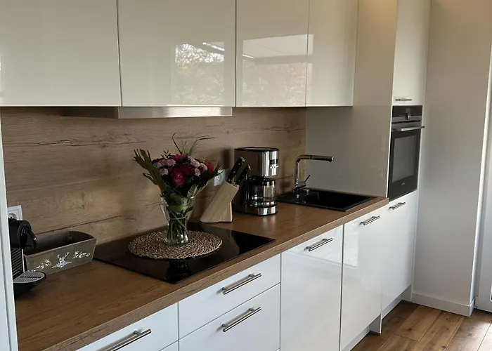 Heimathafen Diemelsee - Luxusferienhaus Diemelsee 6 Personen Mit Sauna, Dachterrasse Und Garten *