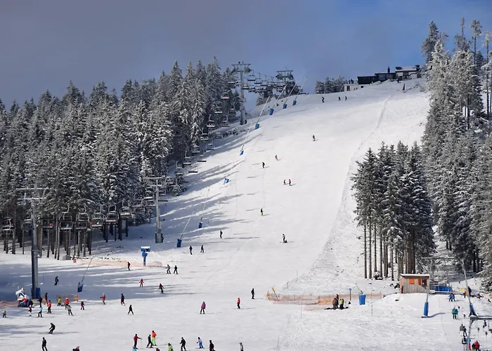 Heimathafen Diemelsee - Luxusferienhaus Diemelsee 6 Personen Mit Sauna, Dachterrasse Und Garten Сasa de vacaciones
